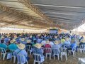 Balanço do 4º Dia de Campo da Mandioca