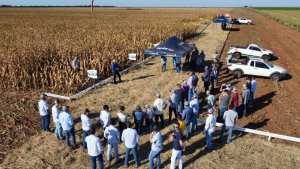 Dia de Campo da safrinha 2023 da Copasul de Anaurilândia